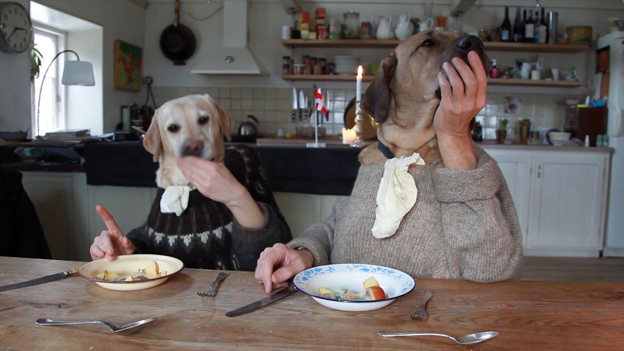 lottecard Dogs