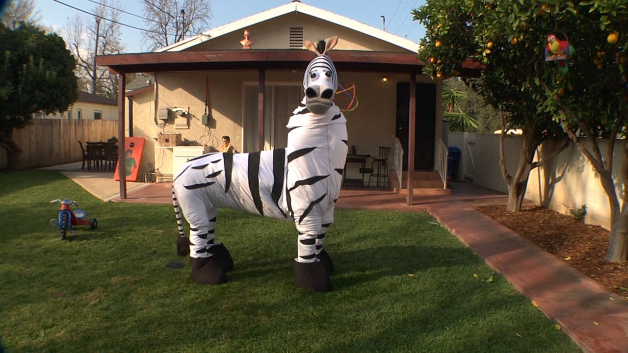 롯데카드 lottecard Zebra