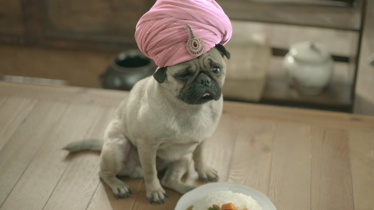 1min curry